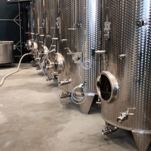 Winery Powiercie, September 2022